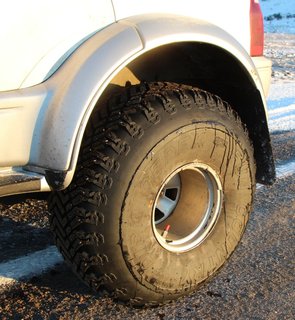 Rear tire, studded.jpg