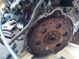 LEXUS FLEXPLATE.jpg