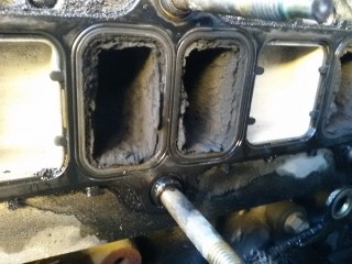 20171119_144711.jpg