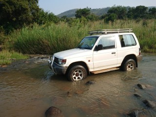 Pajero drinking water