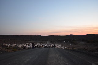 Skaaptrek 2018 102.JPG