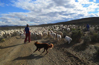 Skaaptrek 2018 303.JPG