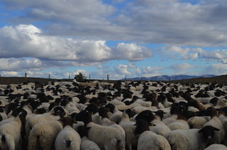 Skaaptrek 2018 331.JPG