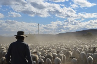Skaaptrek 2018 451.JPG