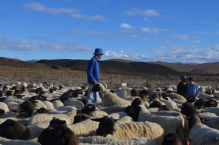 Skaaptrek 2018 483.JPG