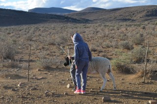 Skaaptrek 2018 500.JPG