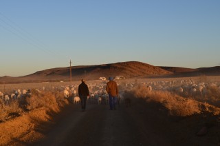 Skaaptrek 2018 595.JPG