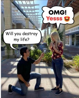 Will_You_Please.jpg