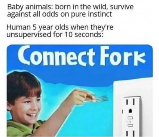 Humans.jpg