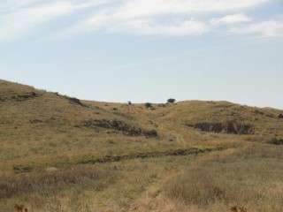 The 'road' down