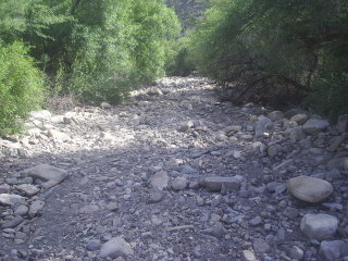 J010.JPG