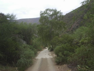 J014.JPG