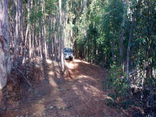 22052010_007.jpg