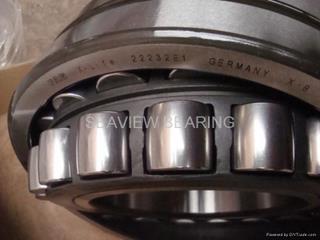 double-row_angular_contact_ball_bearing_FAG_NSK_SKF_INA_TIMKEN.jpg
