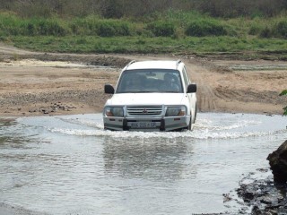 DSCF8369.jpg