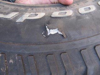 BFG Sidewall Cut.jpg