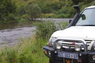 down by the river.jpg