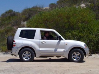 20110213371 [800x600].jpg