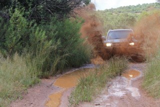 Splash