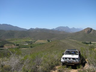 IMG_5415.jpg