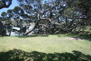 Mtonga River07b 10_08.jpg
