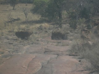 DSCF0617.jpg
