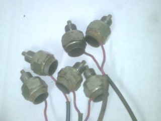 IMG01086-20110829-0634.jpg