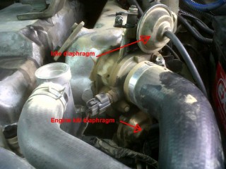 IMG00407-20111018-1058.jpg