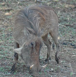 DSC_0419.jpg