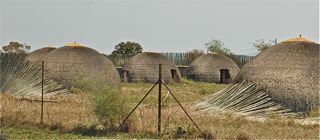 DSC_0649.jpg