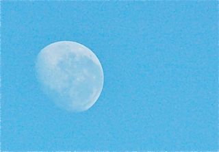 DSC_0655.jpg