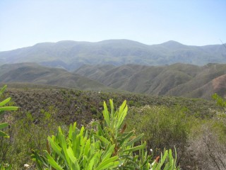 IMG_5406.jpg