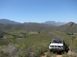 IMG_5415.jpg