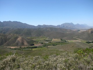 IMG_5420.jpg