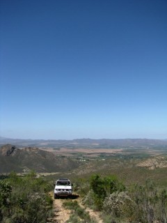 IMG_5428.jpg