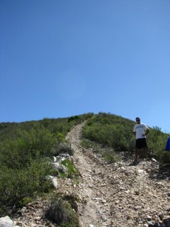 IMG_5431.jpg