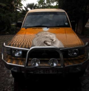 Pajero 3.jpg