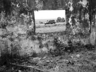 P1020498 - Copy_b&w.jpg
