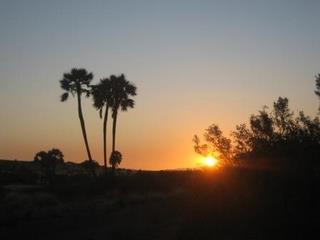 24 Palmwag sunset.jpg