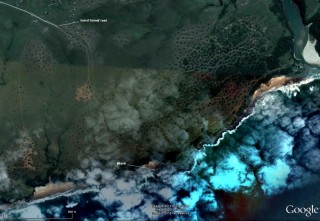 Jakaranda 01.jpg
