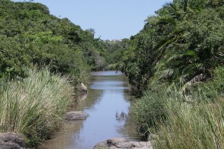 IMG_4354.JPG