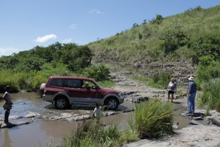 IMG_4357.JPG