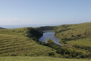 IMG_4295.JPG