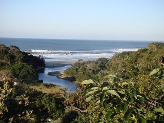 View from Turtle Cove