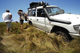 Ooops That black Transkei mud hidden in the grass
