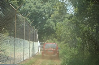 Next to the Lion enclosure