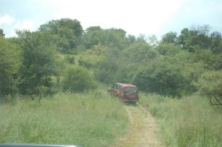 DSC_9331.JPG