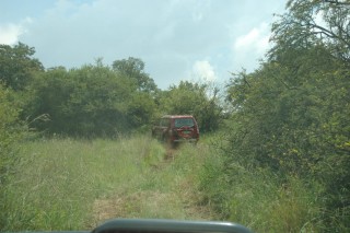 DSC_9332.JPG