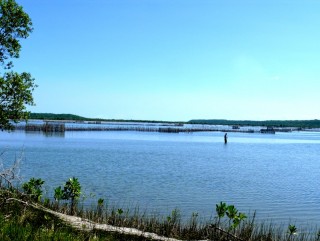 P1370810e.jpg
