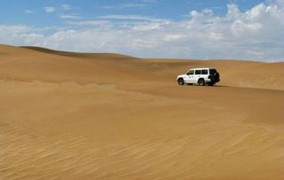 In Dunes near Swakopmund